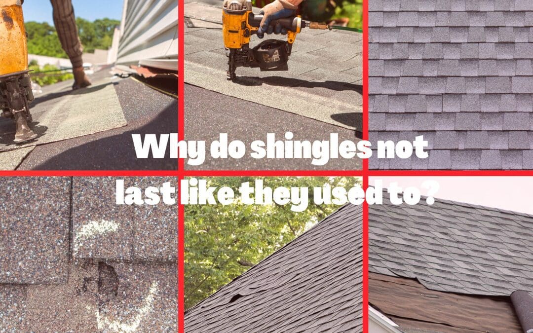 why do shingles not last